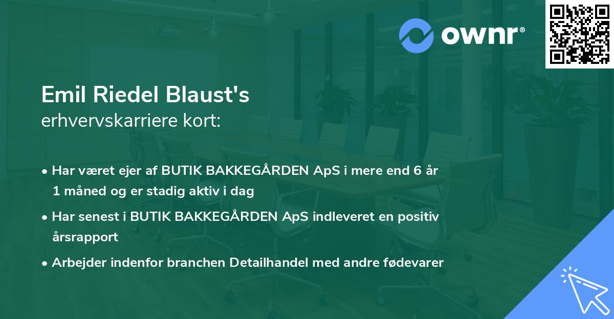 Emil Riedel Blaust's erhvervskarriere kort