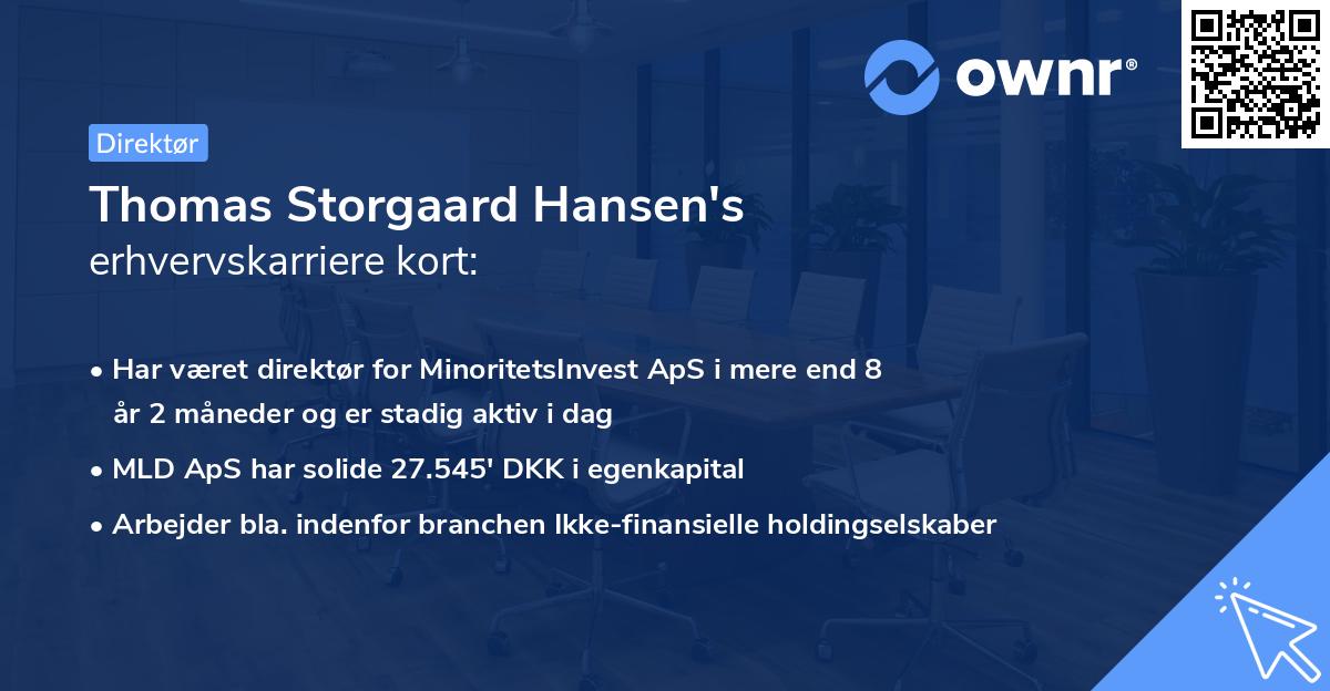 Thomas Storgaard Hansen's erhvervskarriere kort