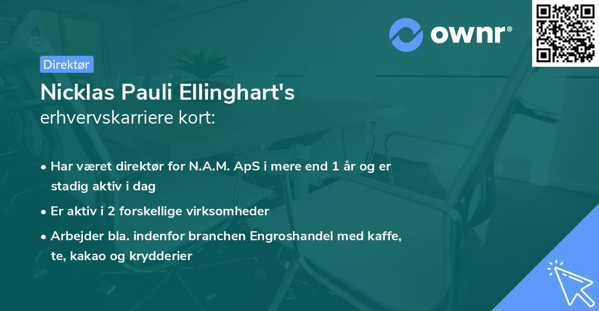 Nicklas Pauli Ellinghart's erhvervskarriere kort