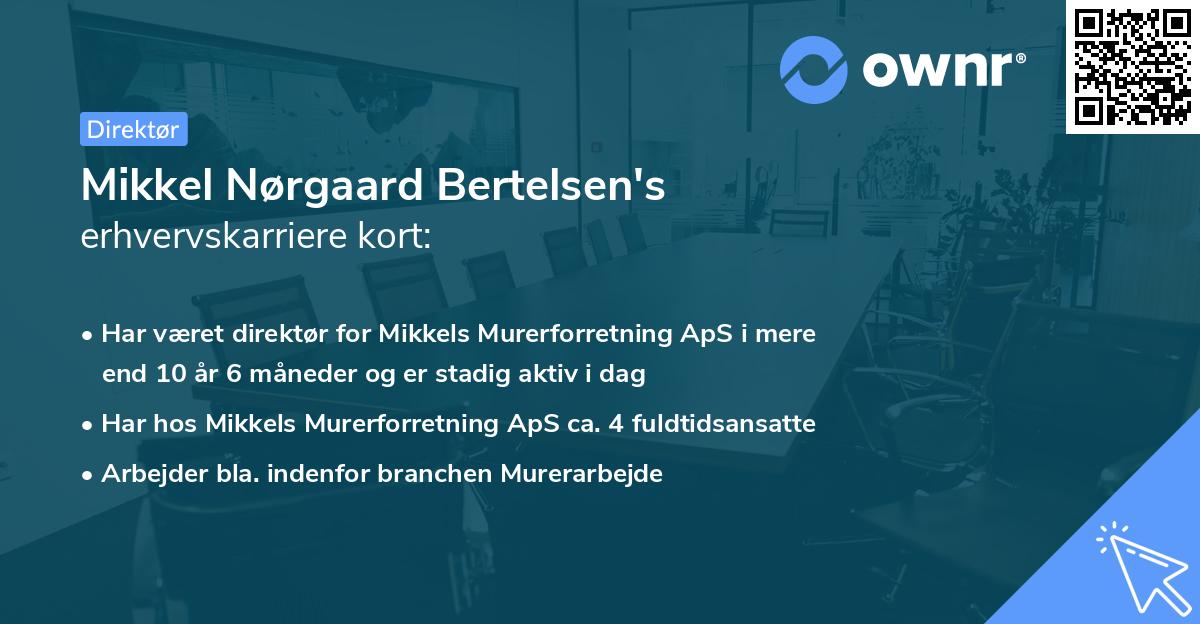 Mikkel Nørgaard Bertelsen's erhvervskarriere kort