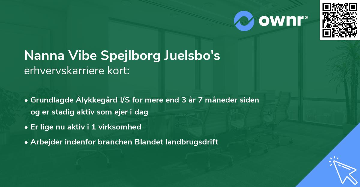 Nanna Vibe Spejlborg Juelsbo's erhvervskarriere kort