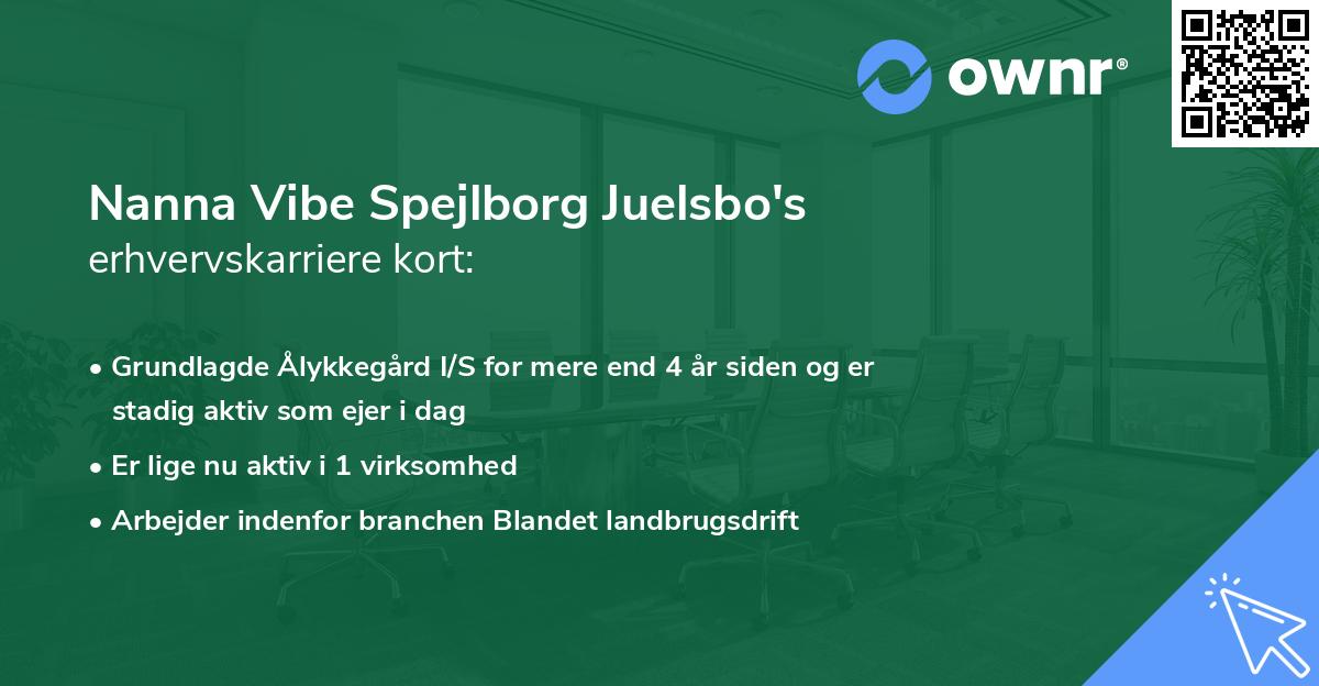 Nanna Vibe Spejlborg Juelsbo's erhvervskarriere kort