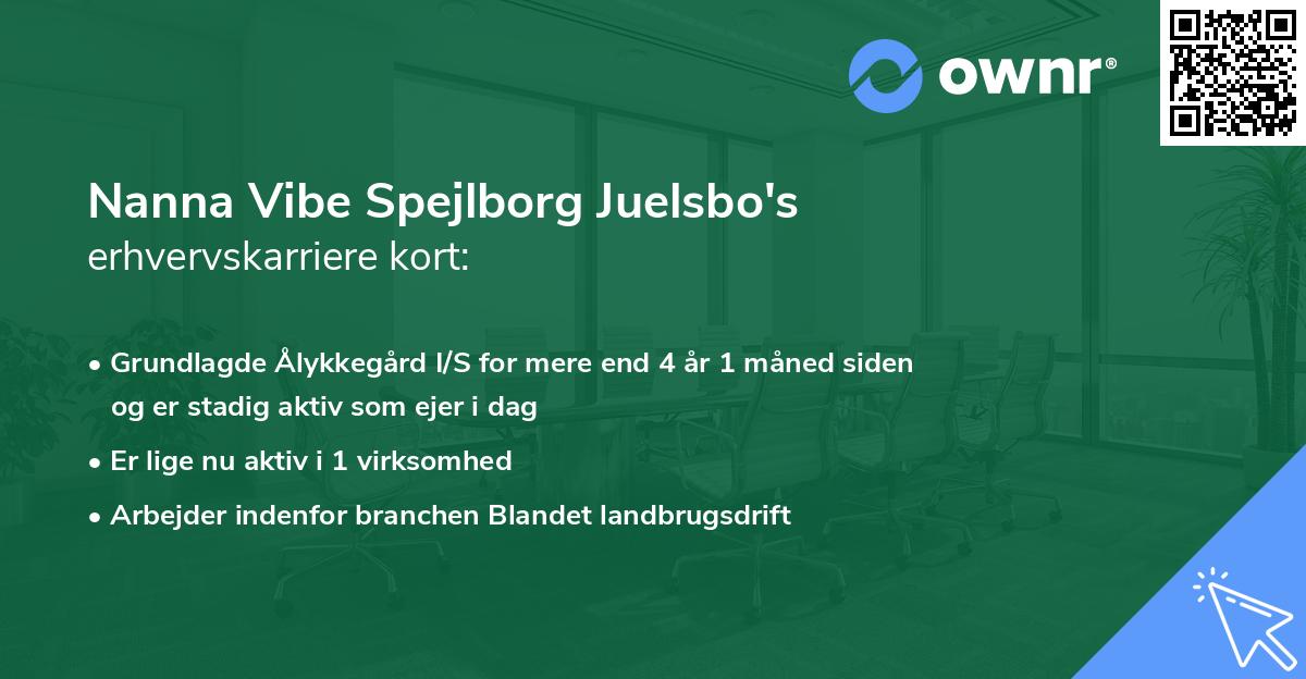 Nanna Vibe Spejlborg Juelsbo's erhvervskarriere kort