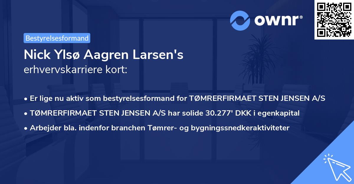 Nick Ylsø Aagren Larsen's erhvervskarriere kort