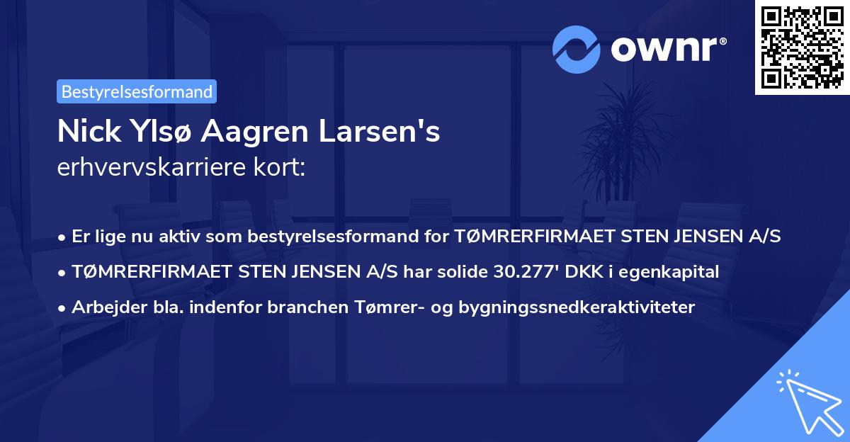 Nick Ylsø Aagren Larsen's erhvervskarriere kort