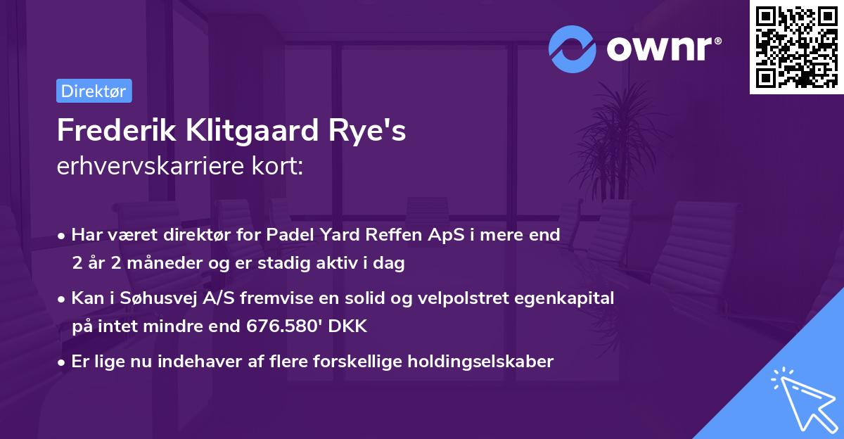 Frederik Klitgaard Rye's erhvervskarriere kort