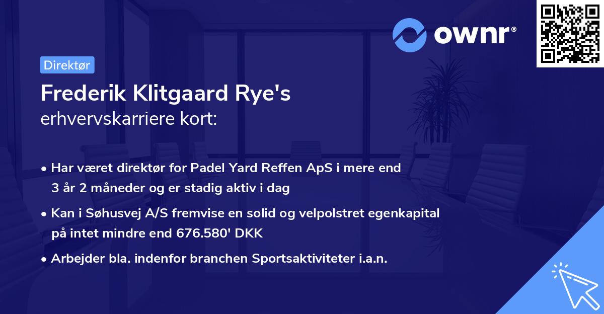 Frederik Klitgaard Rye's erhvervskarriere kort