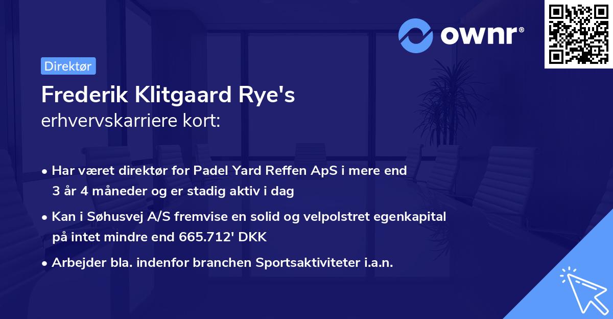 Frederik Klitgaard Rye's erhvervskarriere kort