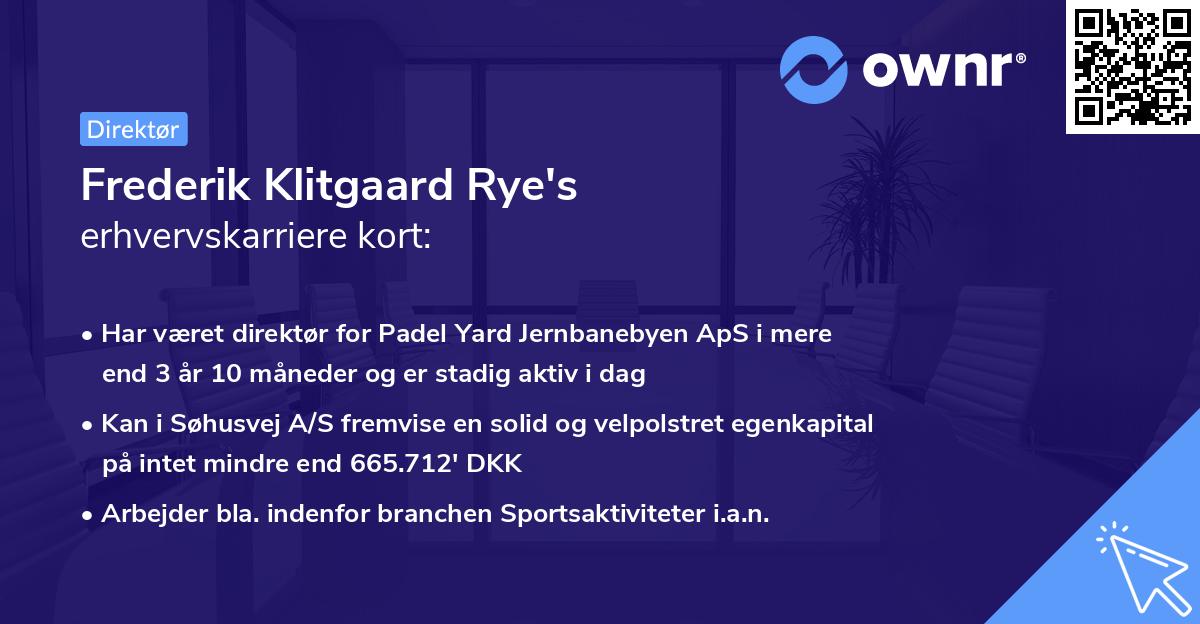 Frederik Klitgaard Rye's erhvervskarriere kort