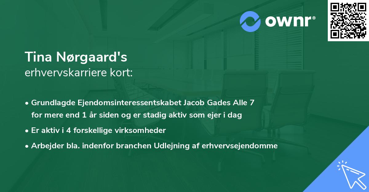 Tina Nørgaard's erhvervskarriere kort