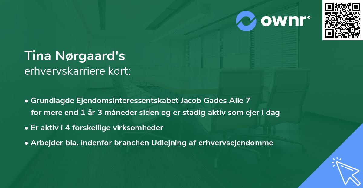 Tina Nørgaard's erhvervskarriere kort