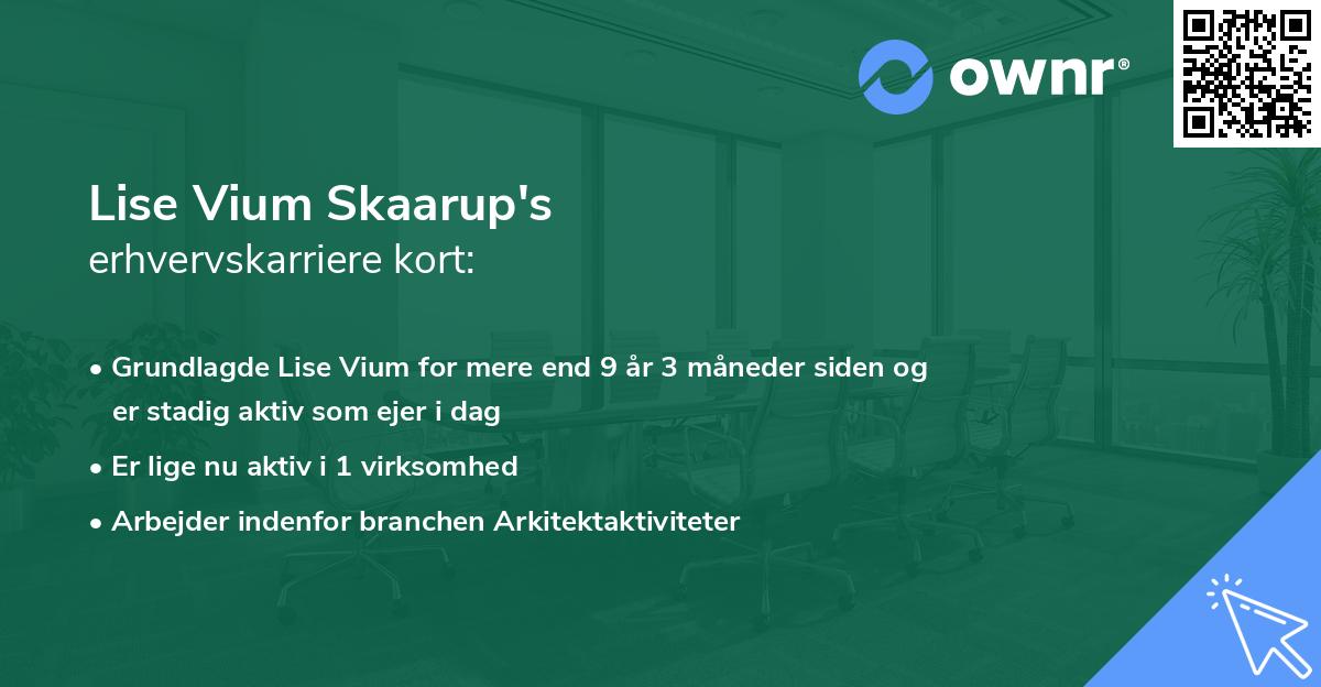 Lise Vium Skaarup's erhvervskarriere kort