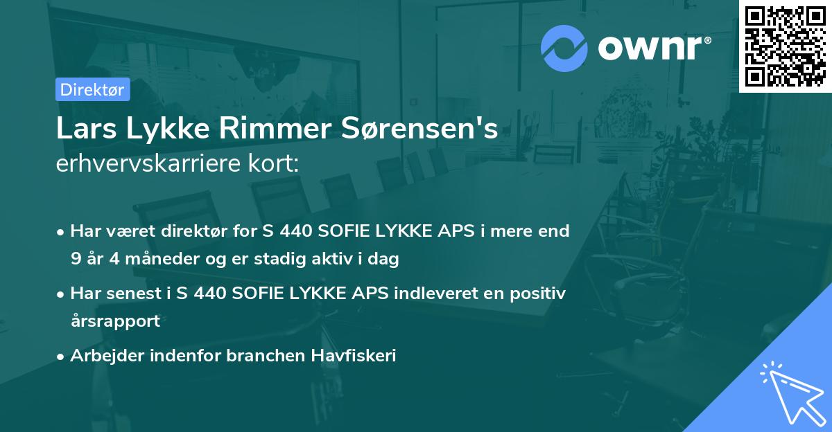 Lars Lykke Rimmer Sørensen's erhvervskarriere kort