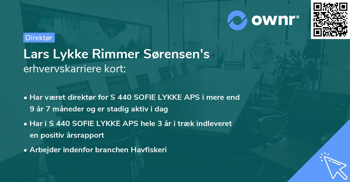 Lars Lykke Rimmer Sørensen's erhvervskarriere kort