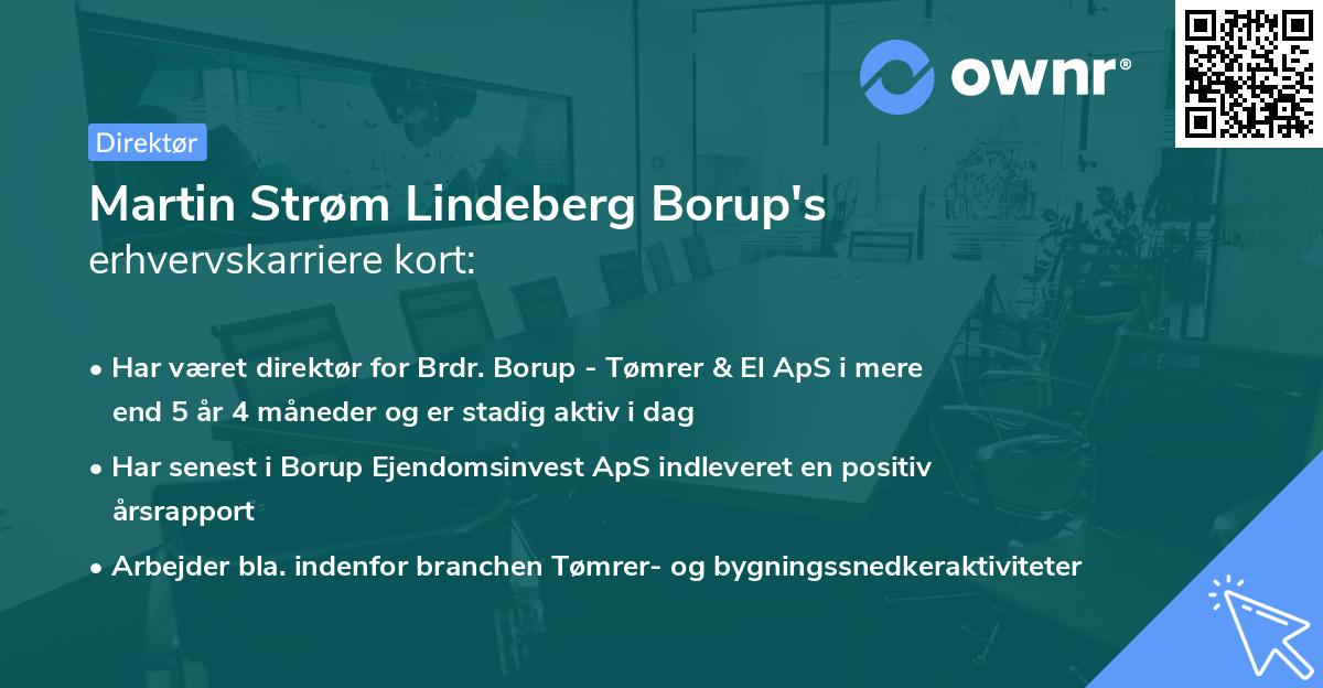 Martin Strøm Lindeberg Borup's erhvervskarriere kort