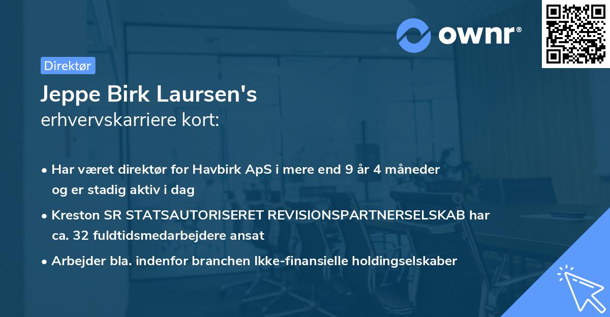 Jeppe Birk Laursen's erhvervskarriere kort