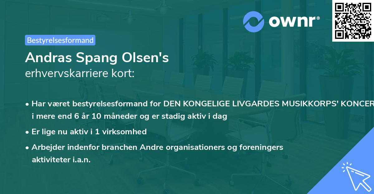 Andras Spang Olsen's erhvervskarriere kort
