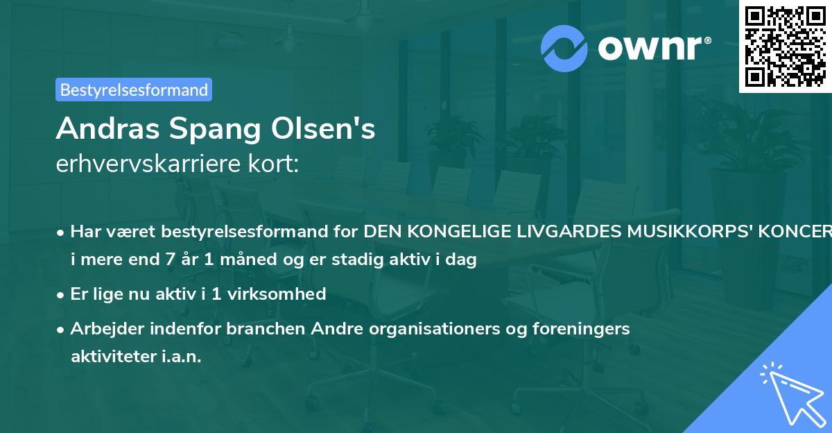Andras Spang Olsen's erhvervskarriere kort