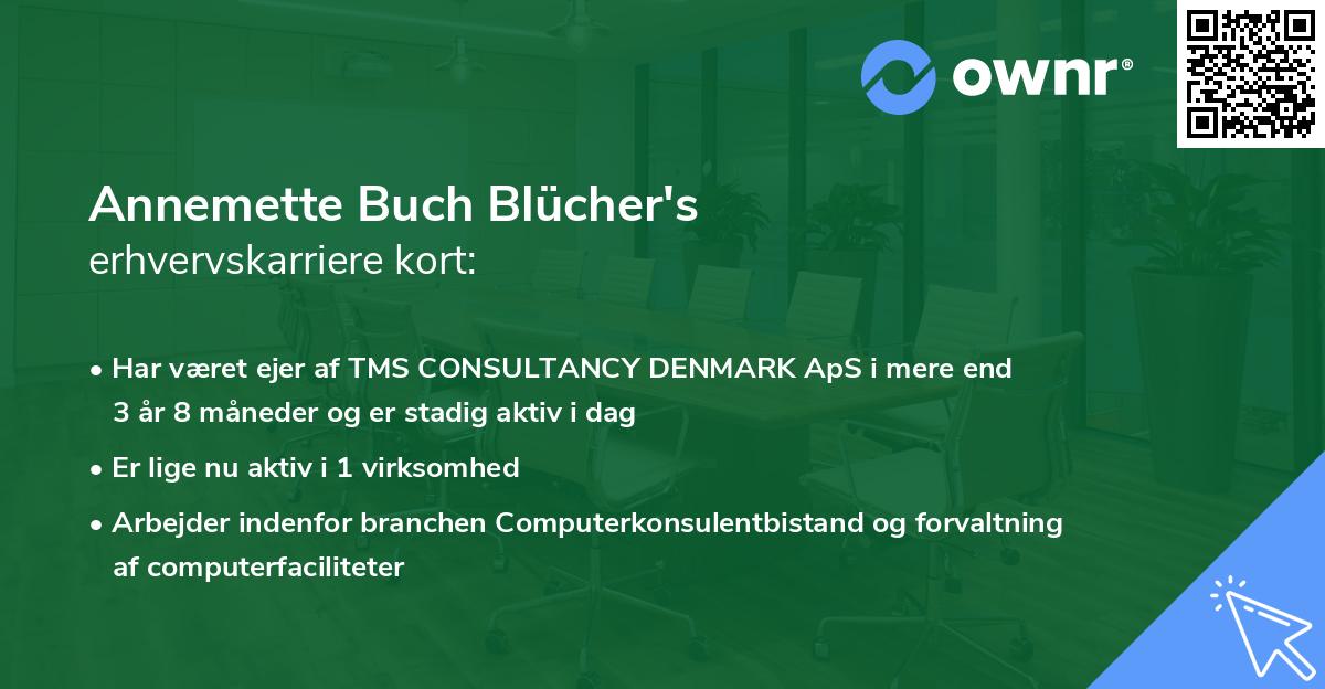 Annemette Buch Blücher's erhvervskarriere kort