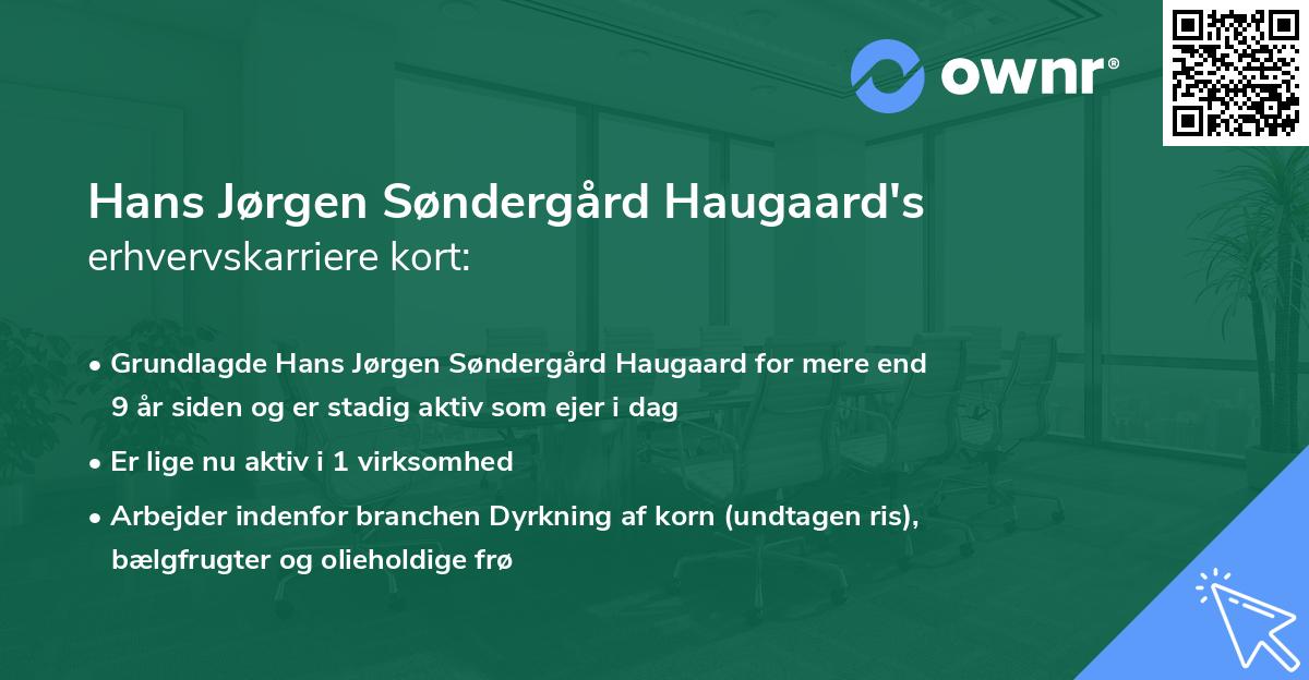 Hans Jørgen Søndergård Haugaard's erhvervskarriere kort