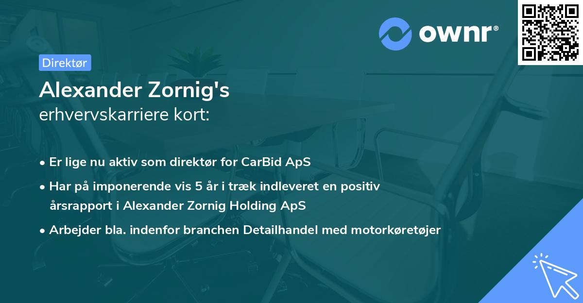 Alexander Zornig's erhvervskarriere kort