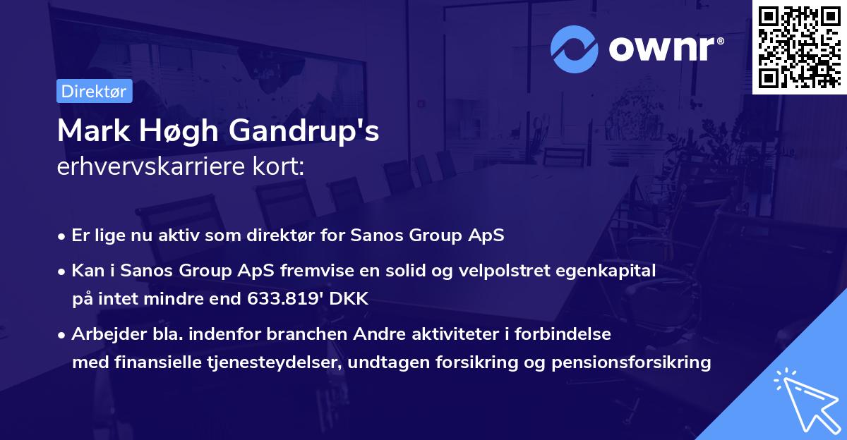 Mark Høgh Gandrup's erhvervskarriere kort