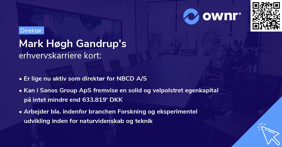 Mark Høgh Gandrup's erhvervskarriere kort