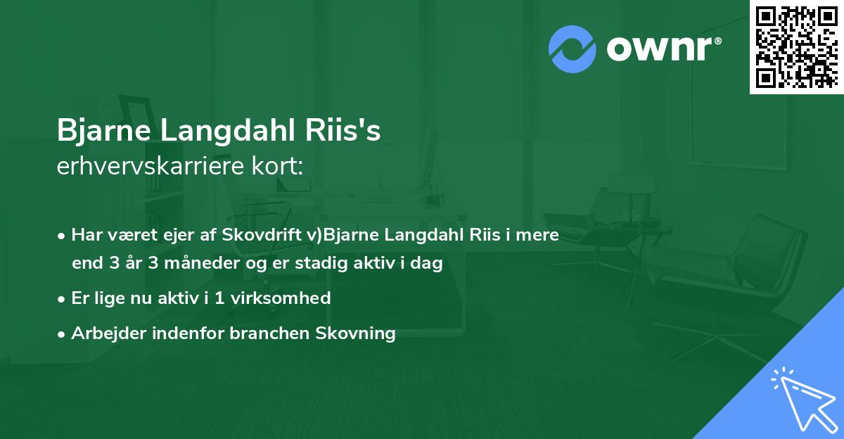 Bjarne Langdahl Riis's erhvervskarriere kort