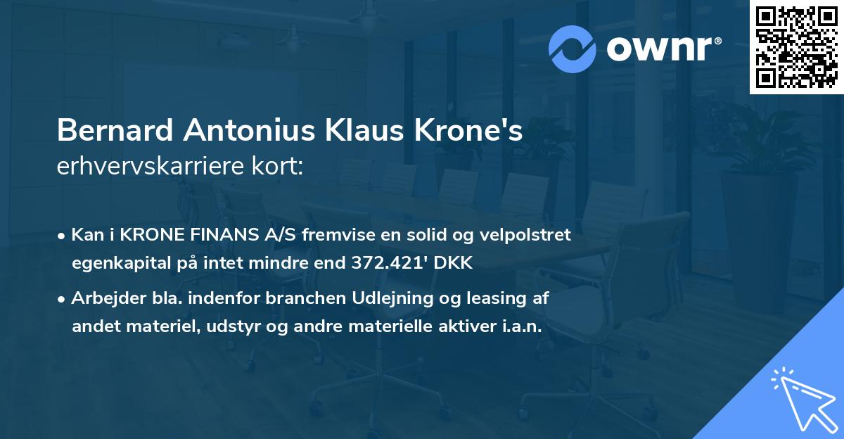 Bernard Antonius Klaus Krone's erhvervskarriere kort