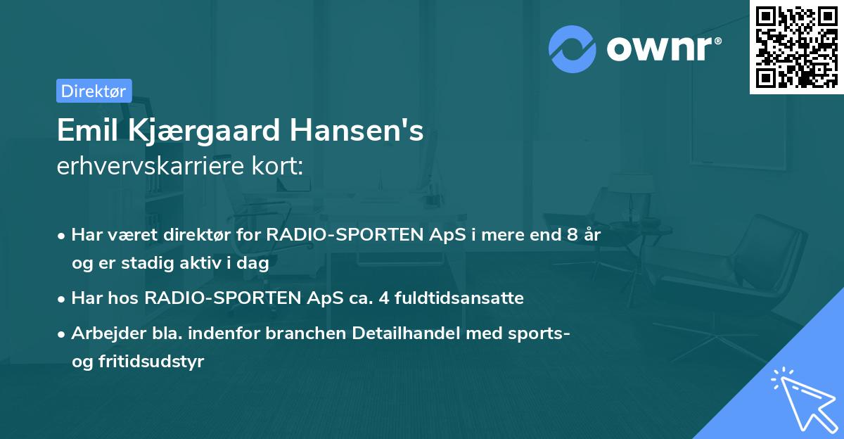 Emil Kjærgaard Hansen's erhvervskarriere kort