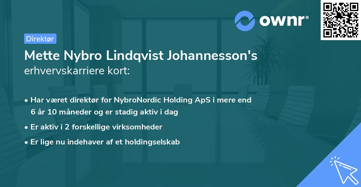 Mette Nybro Lindqvist Johannesson's erhvervskarriere kort