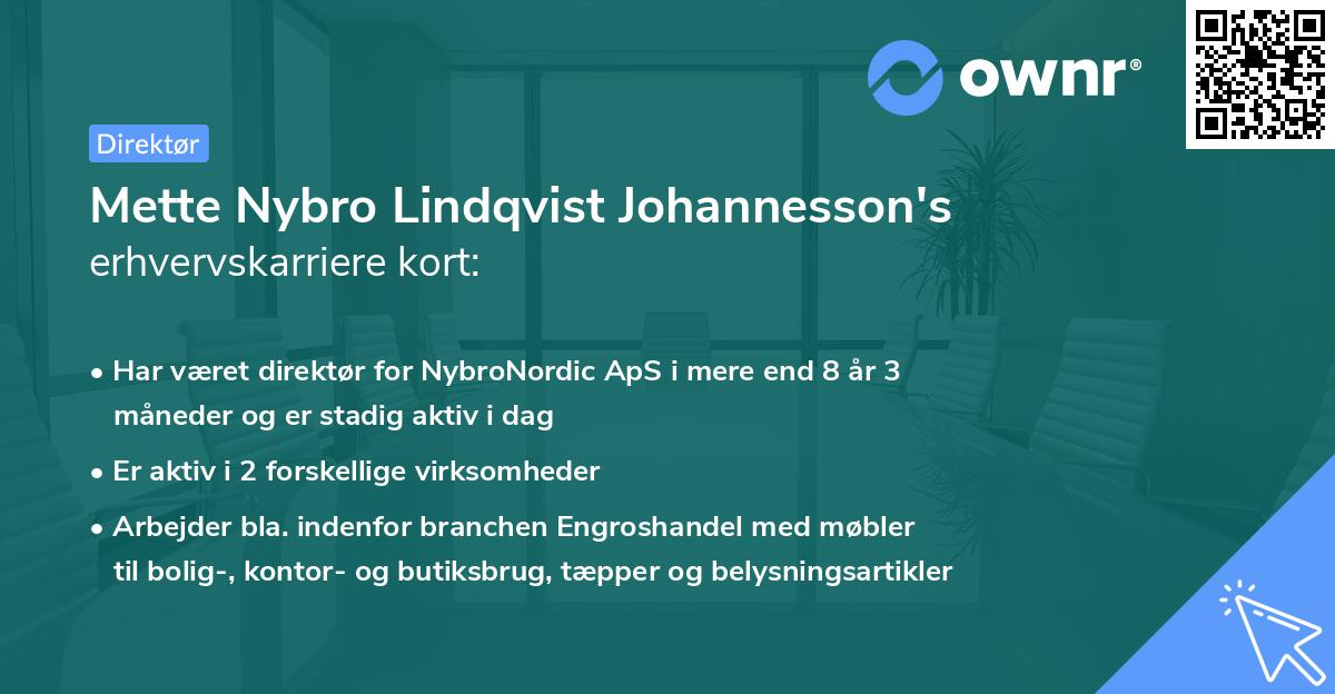 Mette Nybro Lindqvist Johannesson's erhvervskarriere kort
