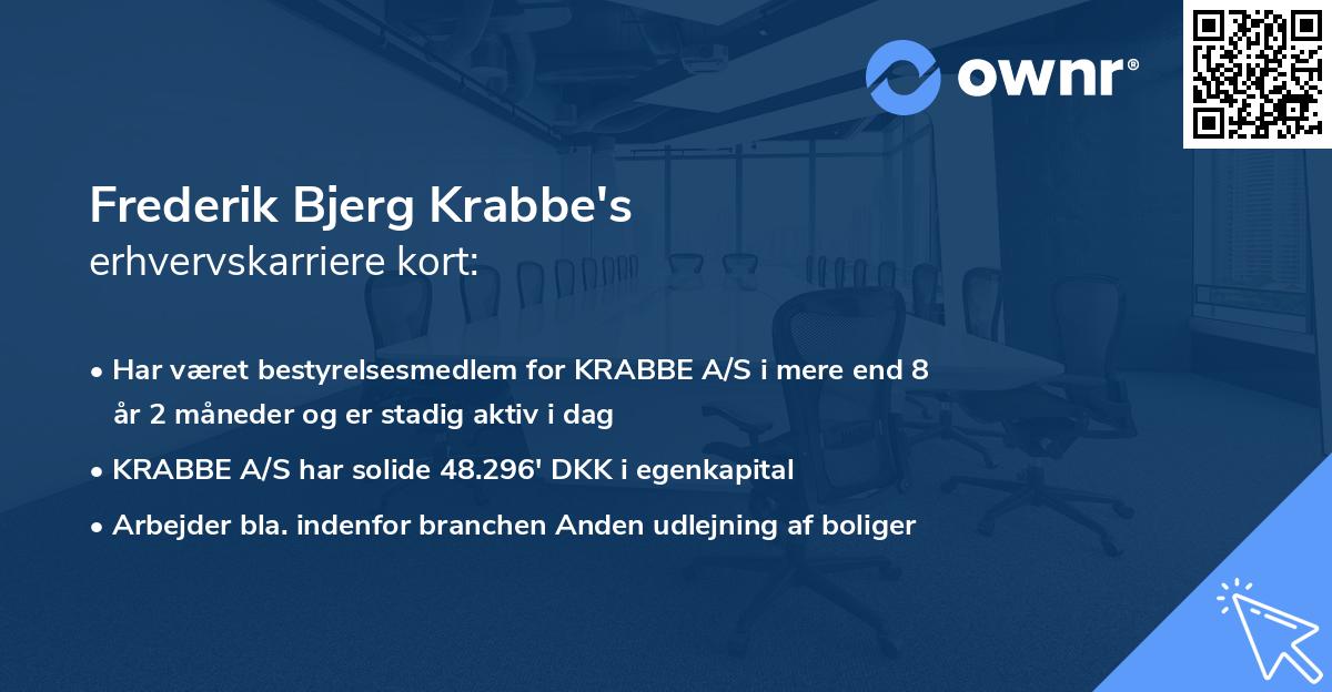 Frederik Bjerg Krabbe's erhvervskarriere kort