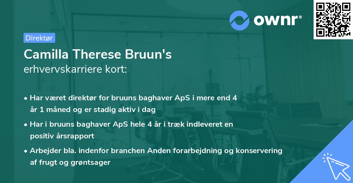 Camilla Therese Bruun's erhvervskarriere kort