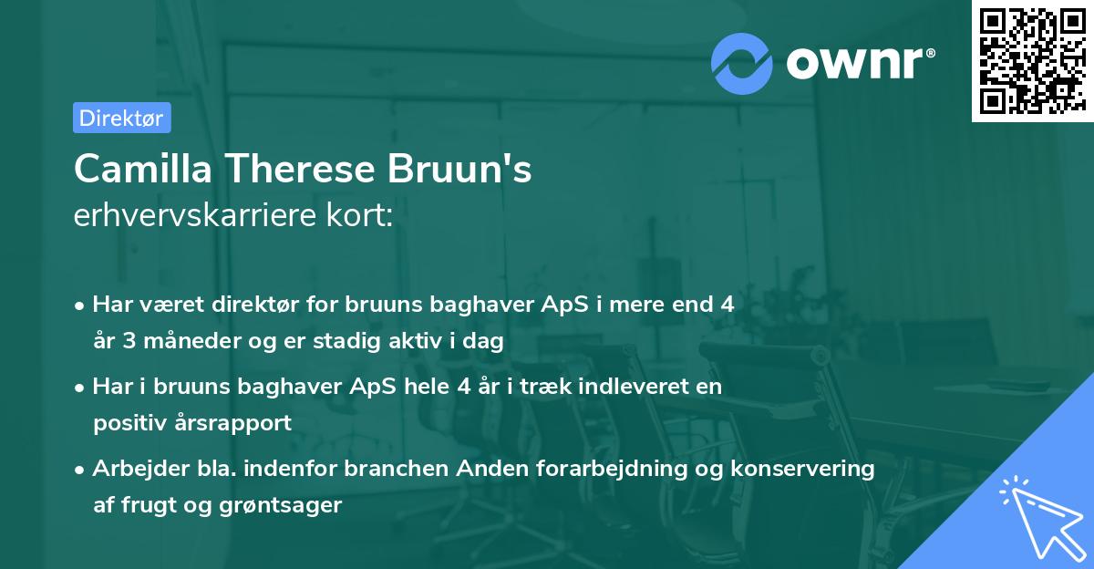 Camilla Therese Bruun's erhvervskarriere kort