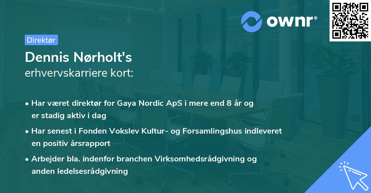 Dennis Nørholt's erhvervskarriere kort