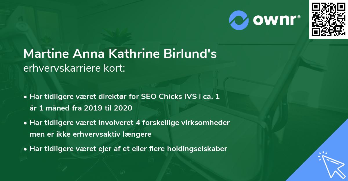Martine Anna Kathrine Birlund's erhvervskarriere kort