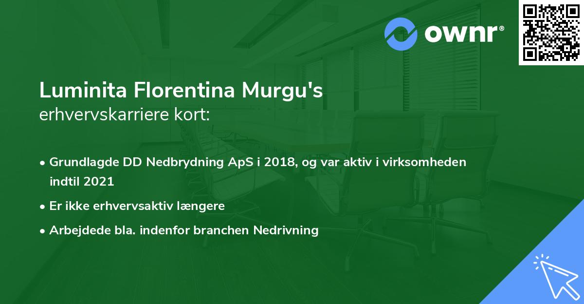Luminita Florentina Murgu's erhvervskarriere kort