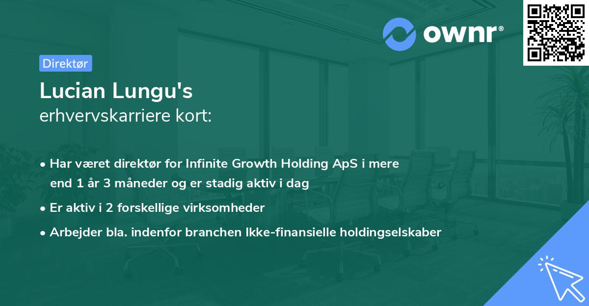 Lucian Lungu's erhvervskarriere kort