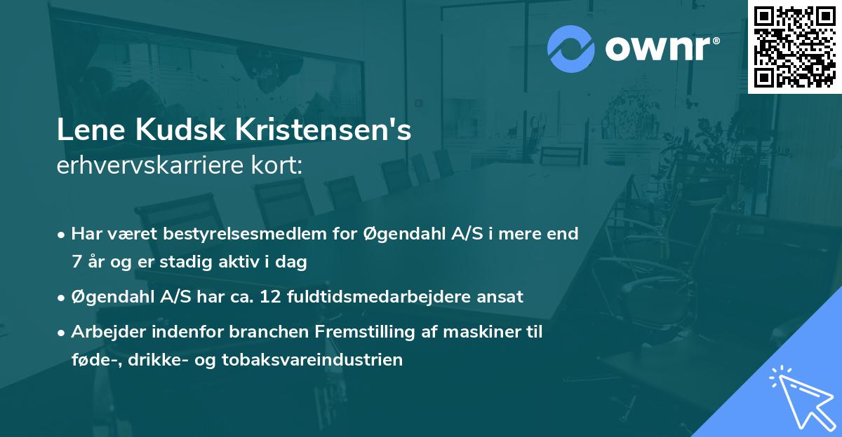 Lene Kudsk Kristensen's erhvervskarriere kort