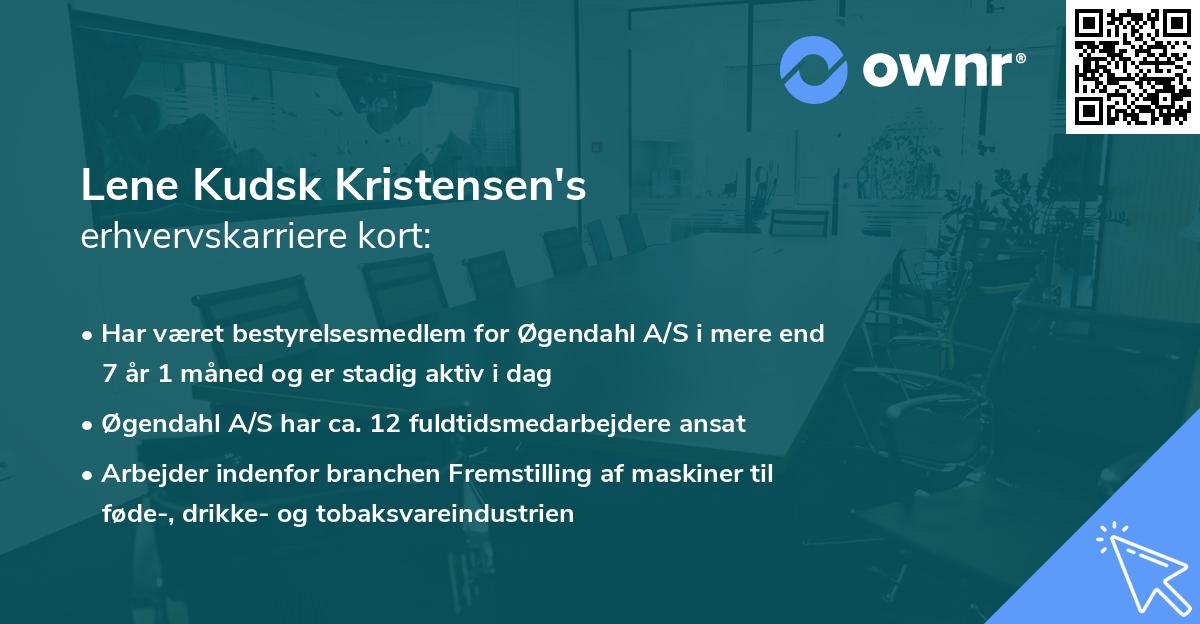 Lene Kudsk Kristensen's erhvervskarriere kort