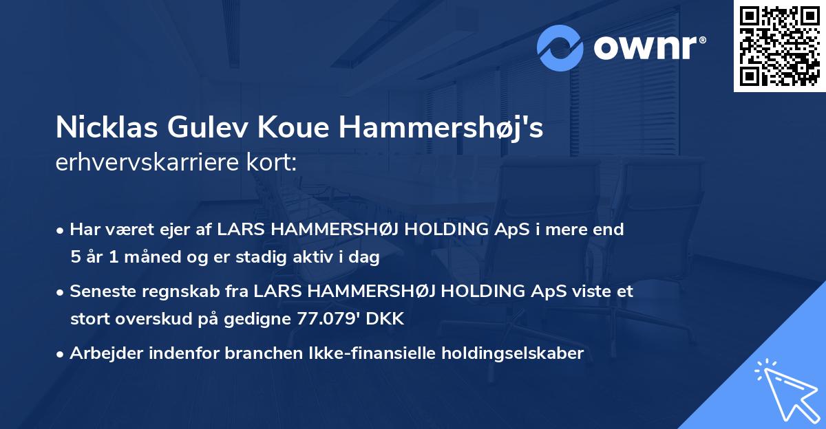 Nicklas Gulev Koue Hammershøj's erhvervskarriere kort