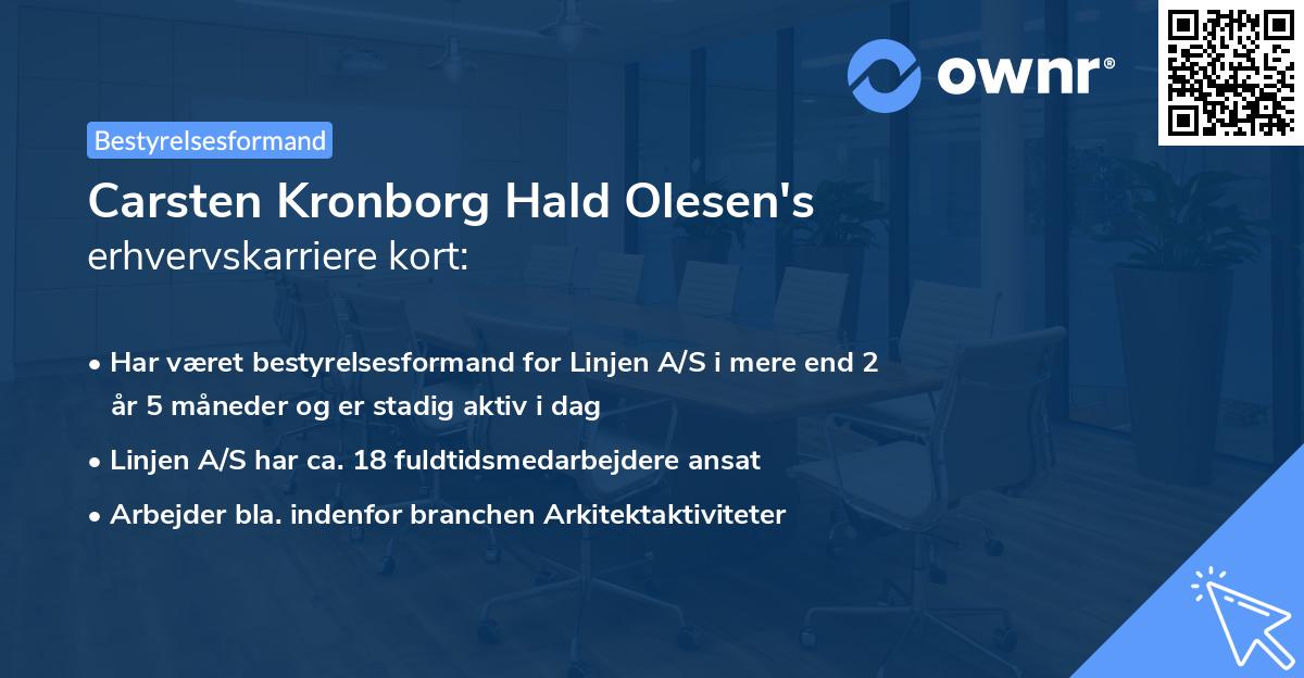 Carsten Kronborg Hald Olesen's erhvervskarriere kort