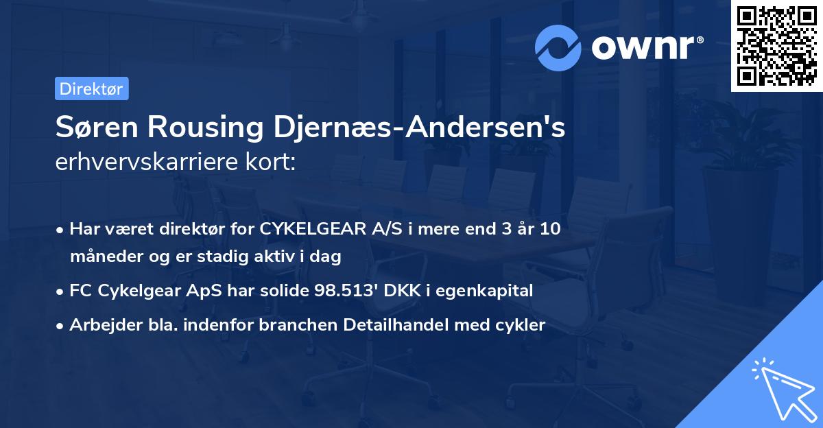 Søren Rousing Djernæs-Andersen's erhvervskarriere kort