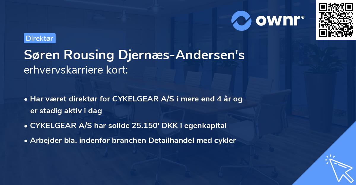 Søren Rousing Djernæs-Andersen's erhvervskarriere kort