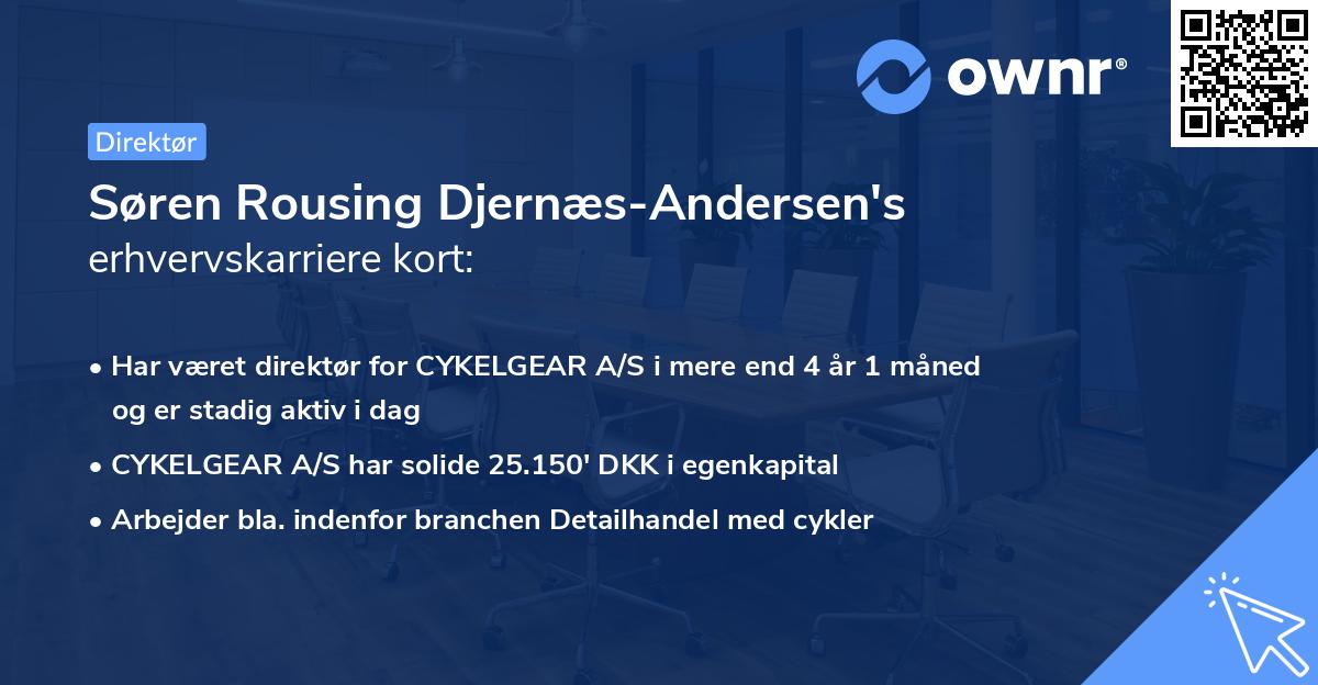 Søren Rousing Djernæs-Andersen's erhvervskarriere kort