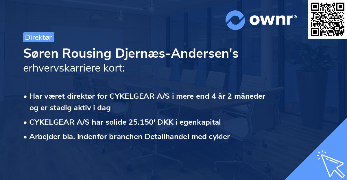 Søren Rousing Djernæs-Andersen's erhvervskarriere kort