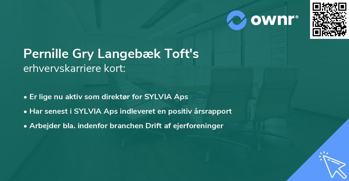 Pernille Gry Langebæk Toft's erhvervskarriere kort