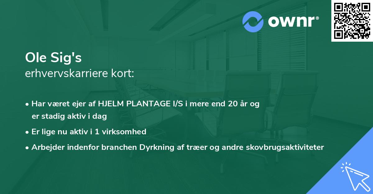 Ole Sig's erhvervskarriere kort
