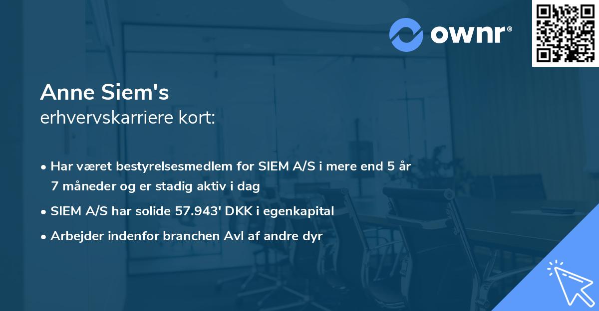 Anne Siem's erhvervskarriere kort